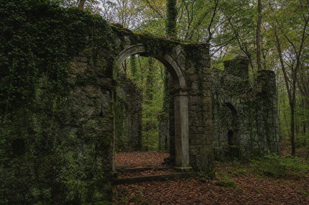 Stone ruins of Rockwood Hall covered in ivy in a forest